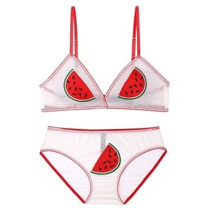 NWOT - Sheer Mesh Embroidery Triangle Watermelon Bralette Panty Lingerie Set - S